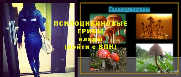 ECSTASY Абаза