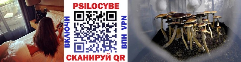 Псилоцибиновые грибы Cubensis  купить наркотик  Тейково 